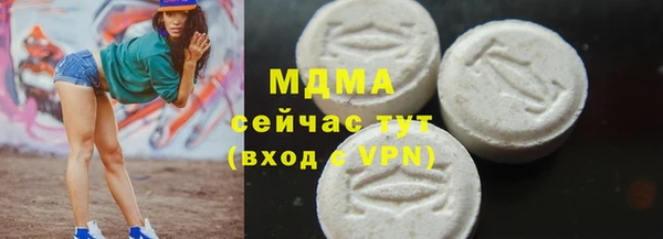 индика Магас