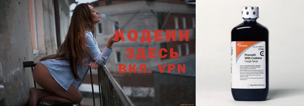 индика Магас