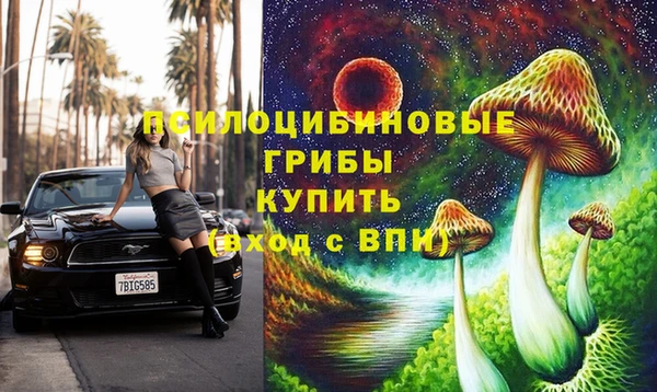 дмт Майский