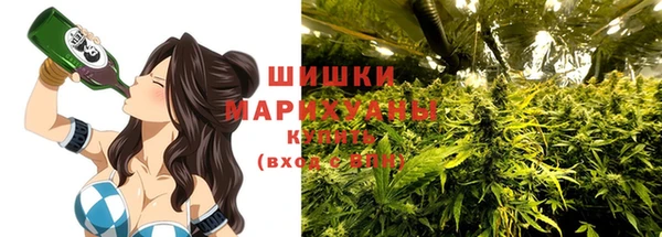дмт Майский