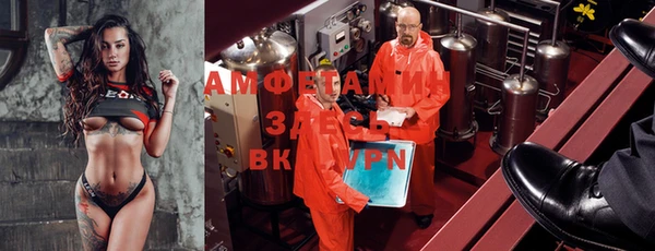 индика Магас