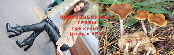 дмт Майский