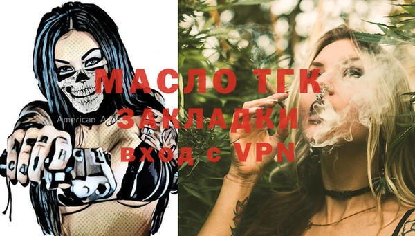 индика Магас